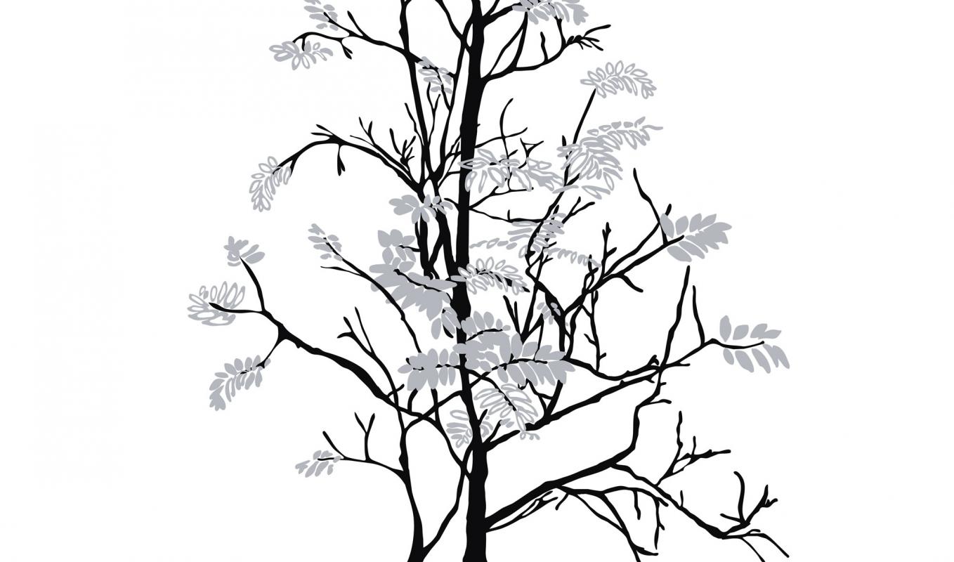 urban clipart black and white tree