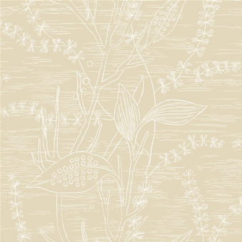 ECO Arkiv Engblad