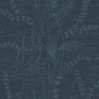 ECO Arkiv Engblad